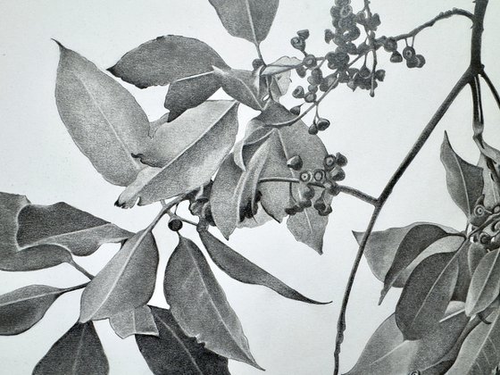 Whispers Through the Leaves.
