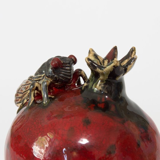 Cicada and pomegranate