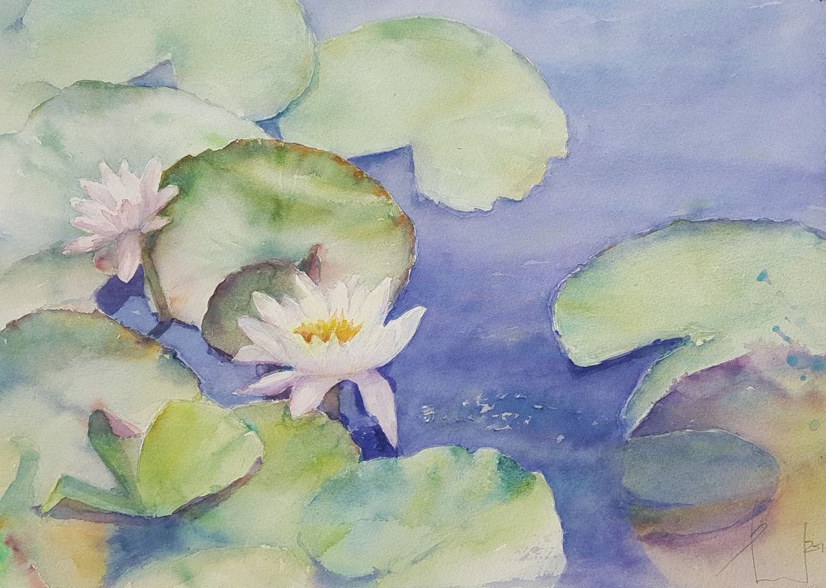 WATER LILY. MY DREAM GARDEN 2018 original watercolor 31X41 by Beata van Wijngaarden