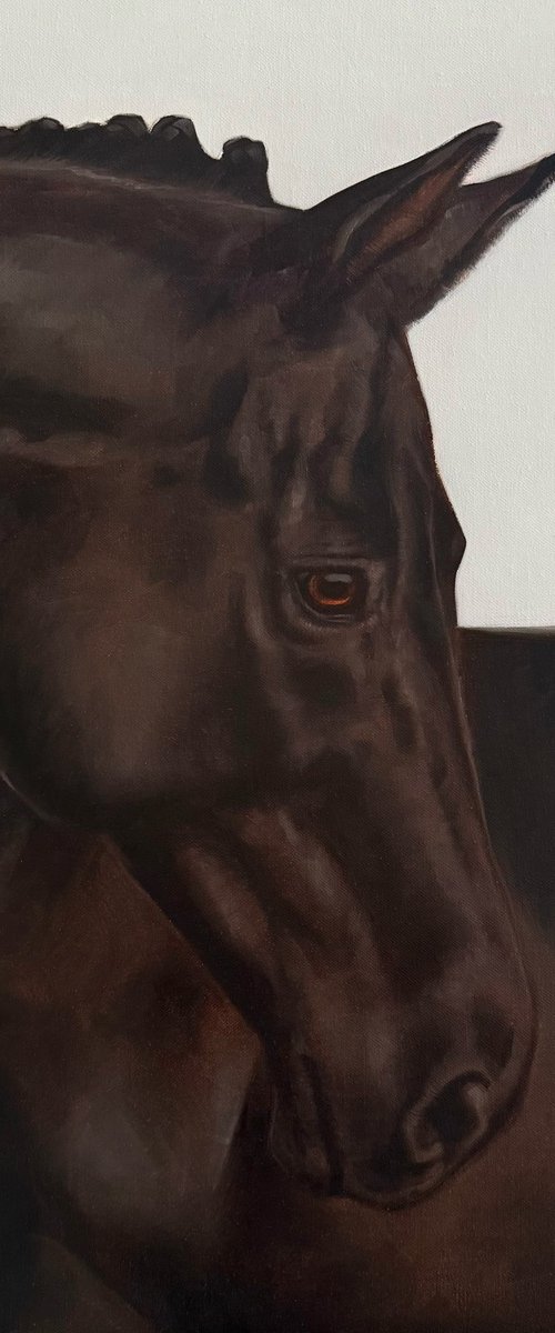 Black horse portrait by Alina Marsovna