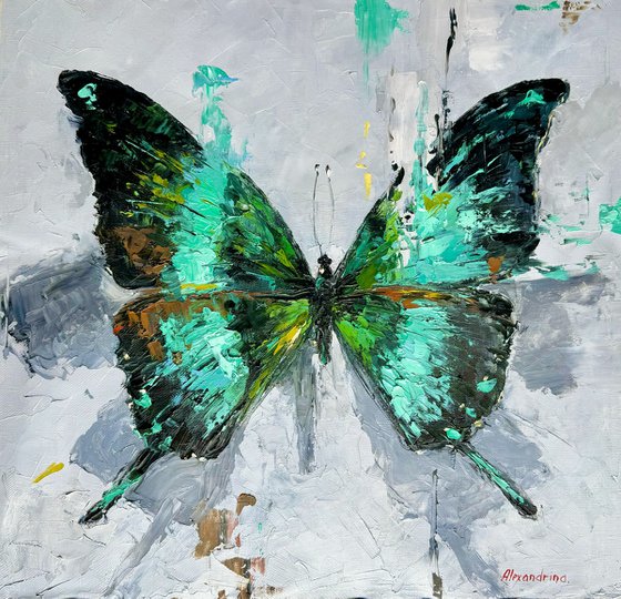 Butterfly #5.