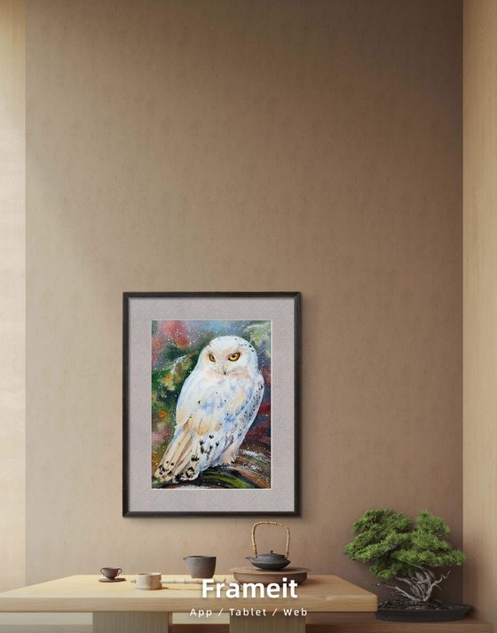 White owl (First snow in the old forest)