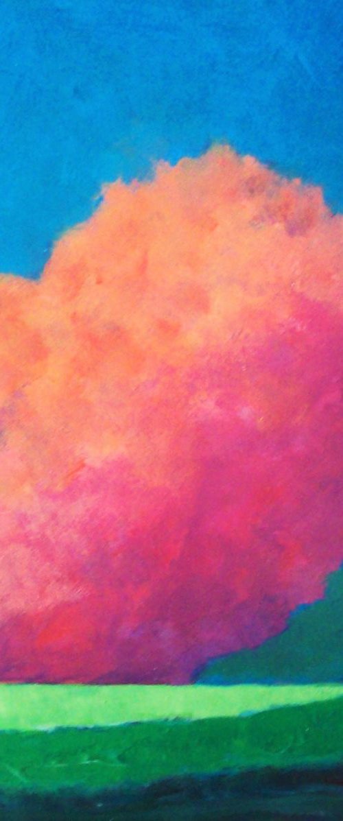 Rose Cumulus over a Spring Field by David J Edwards