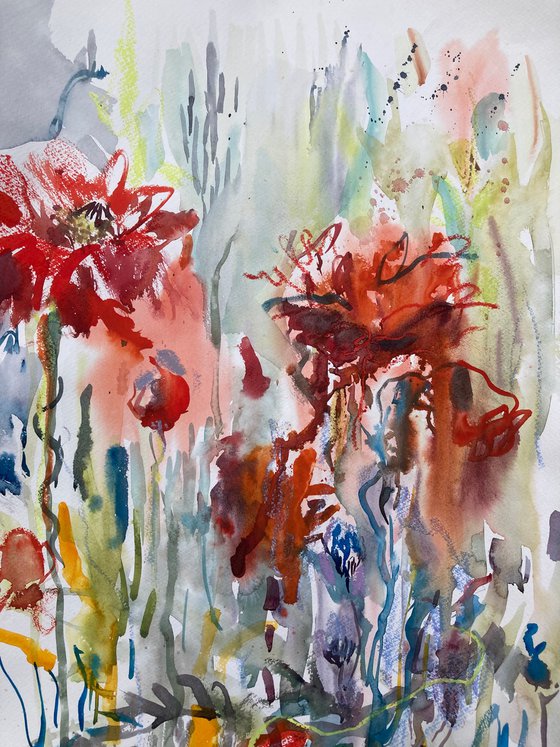 Poppies