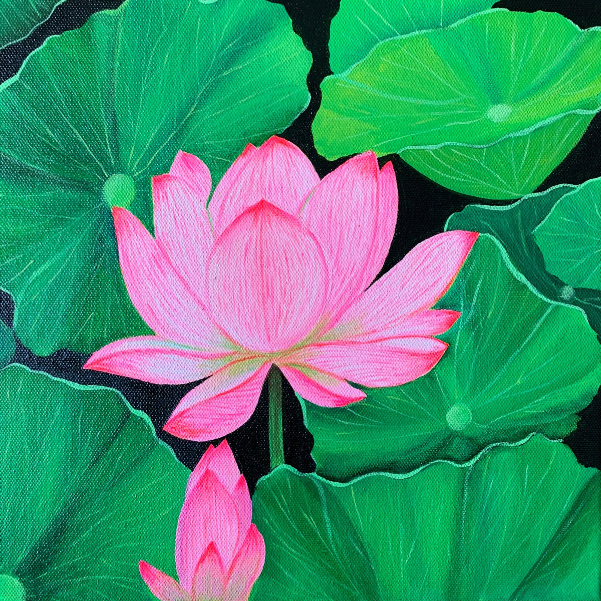 Lotus !! Ready to hang by Amita Dand