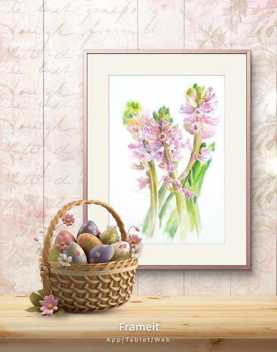 Blush in bloom original hyacinth watercolour