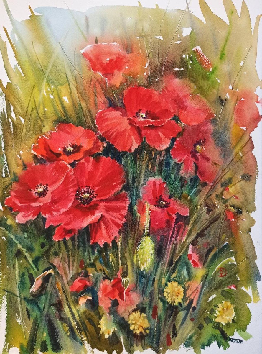 Red Poppies by Olga Drozdova
