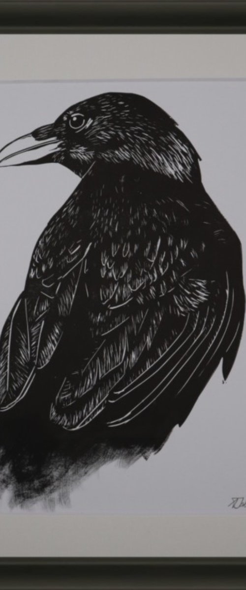 Raven by Alex Jabore
