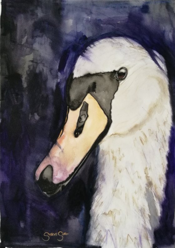 A Captivating Creature. Watercolour Swan. Birds. Animals. Free Shipping