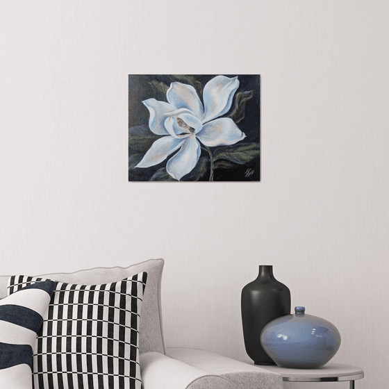 Magnolia flower