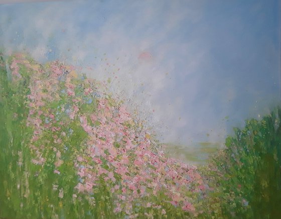 PINK SUMMER MORNING