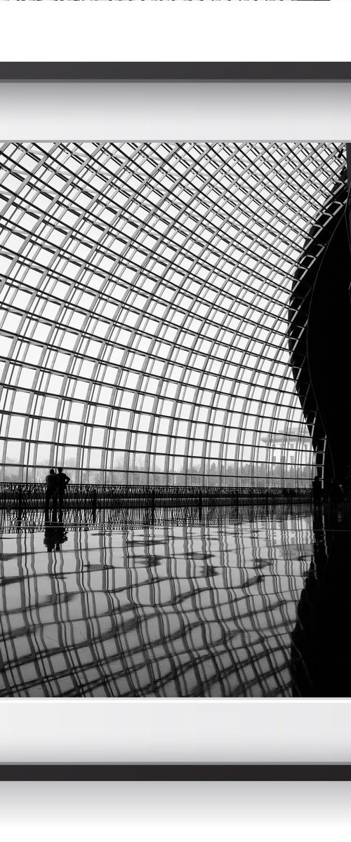 Inside the Dome by Serge Horta