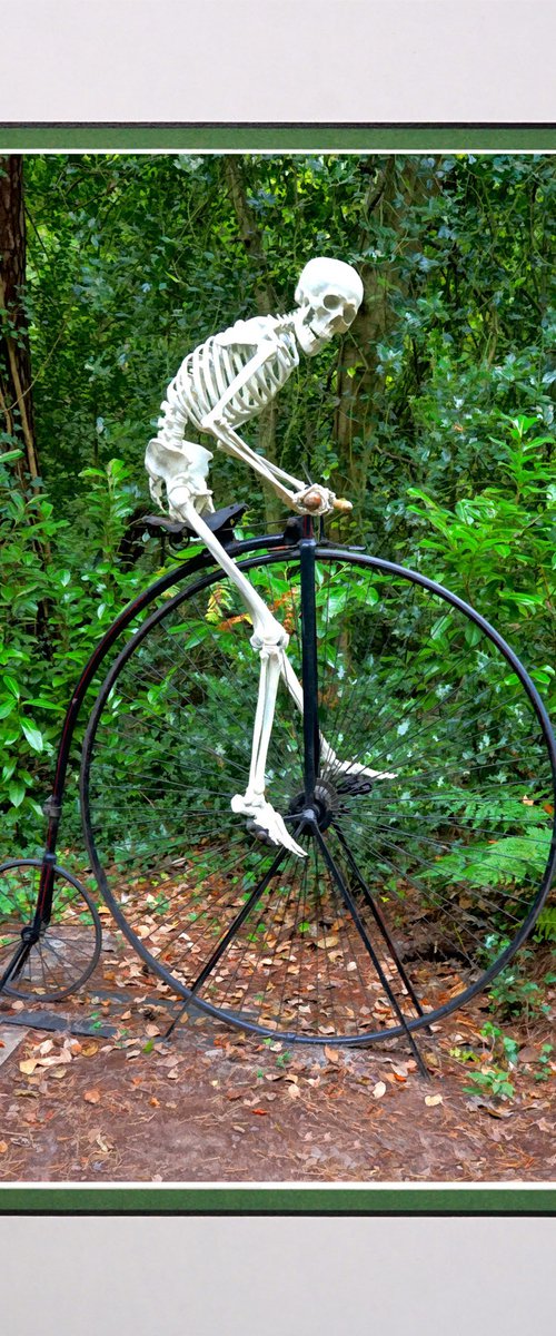 Skeleton on a bike by Robin Clarke