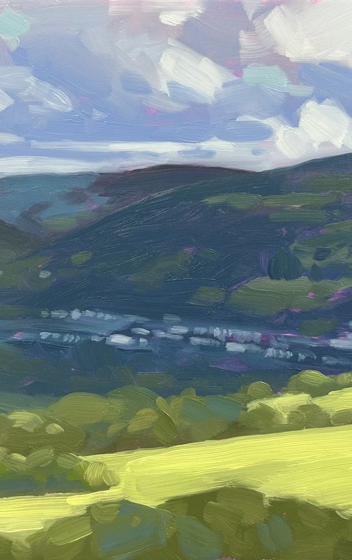 Yellow Field by Dawn Harries