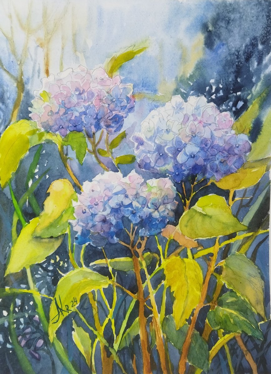 Impressionistic Botanical Watercolour By Ann Krasikova, 10 X 13, Hydrangeas Flowers, Original Artwork