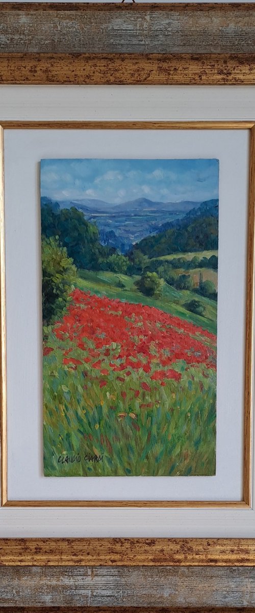 Field of poppies in Tuscany by Claudio Ciardi