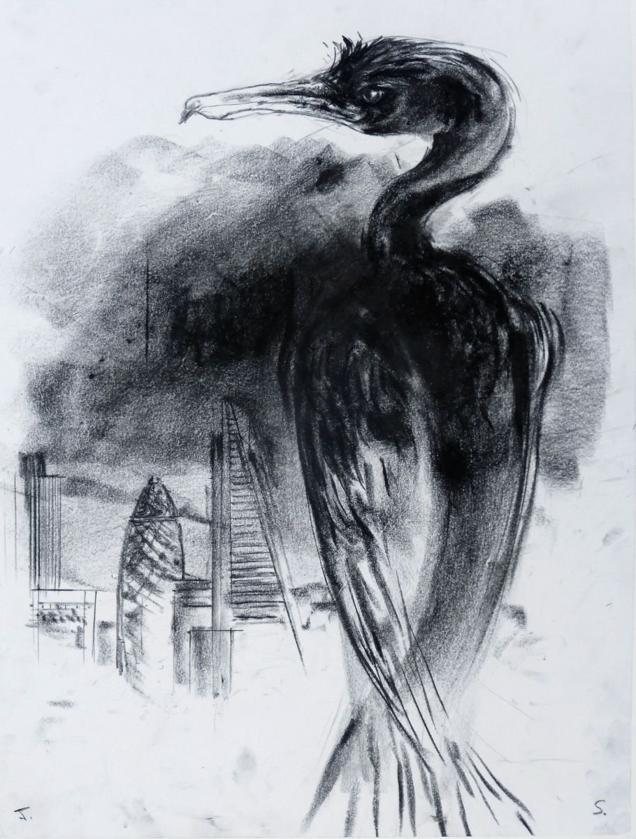The City and The Cormorant by John Sharp