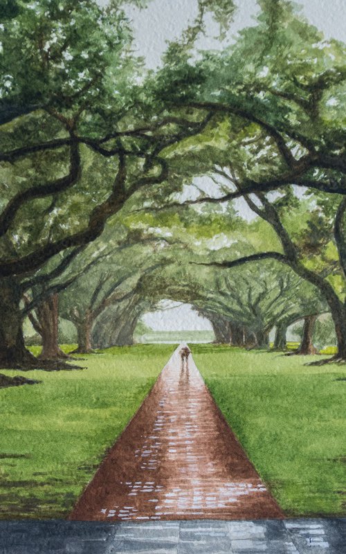 Avenue of Oaks, Oak Alley Plantation, Vacherie, Louisiana by Sue Cook