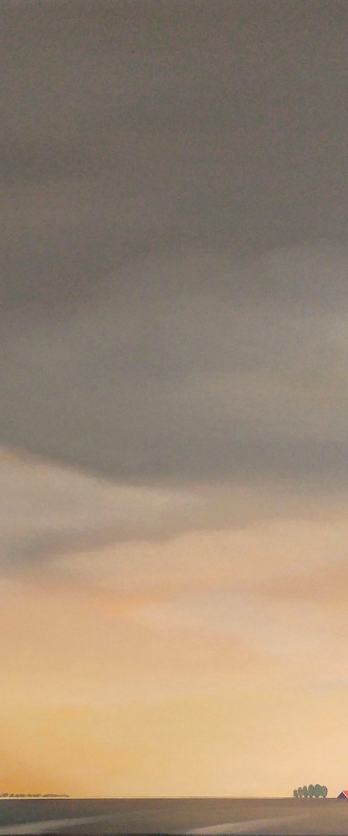 A golden sky in my Dutch polder (April) by Nelly van Nieuwenhuijzen