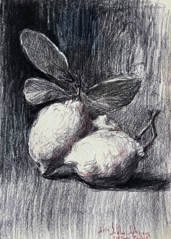 Still Life Citrus Nocturne, Pastel on Paper