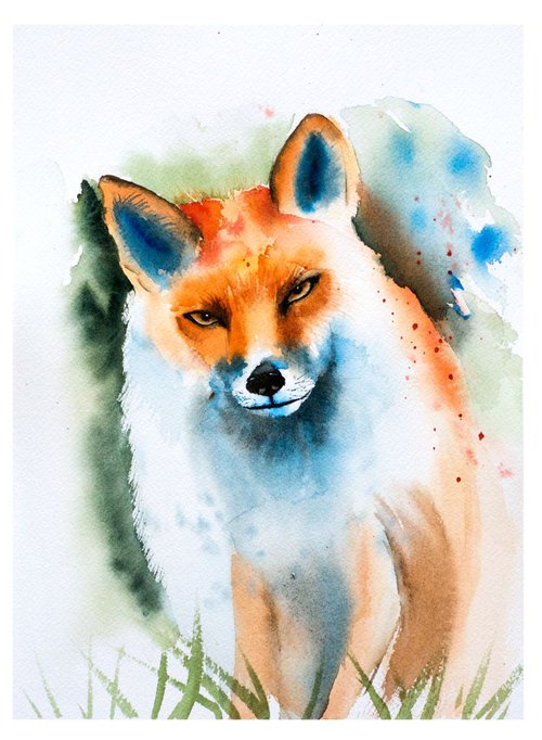 Fox by Olga Shefranov (Tchefranov)