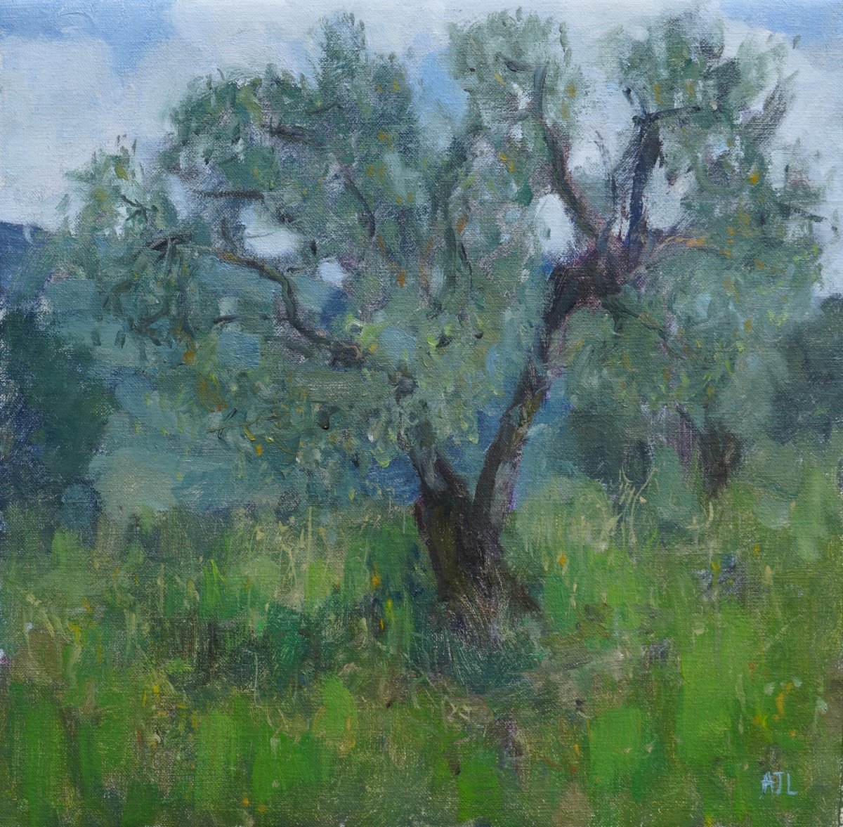 Olive Tree near Fiesole by Alex James Long