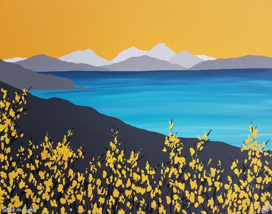 Gorse on Gigha, Argyll, Scotland