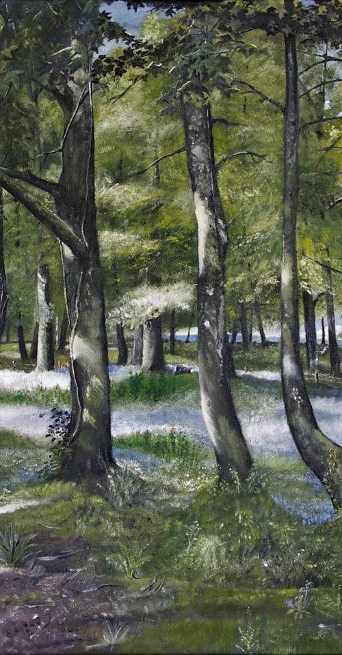 bluebell Wood by John Barrett