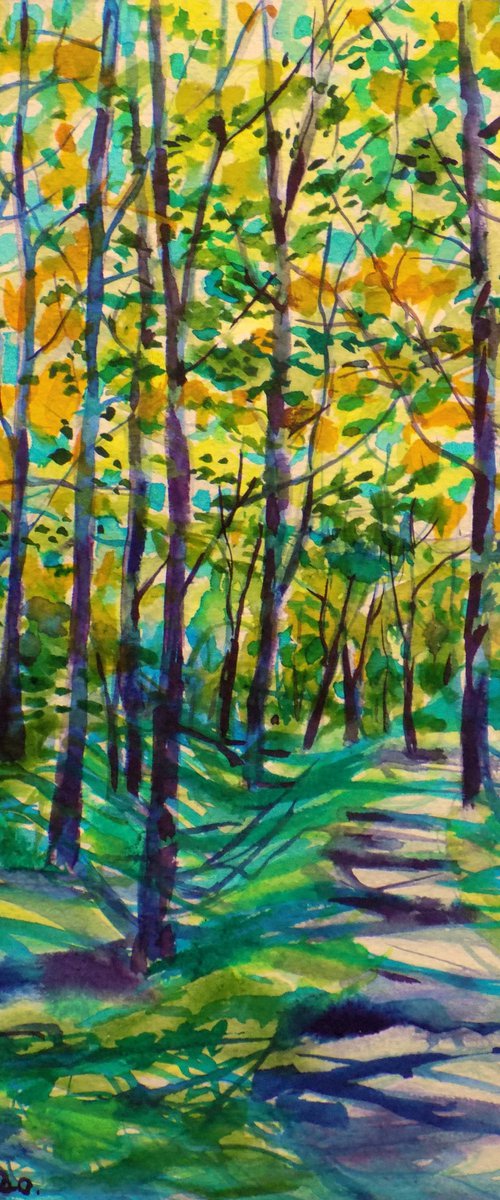 Spring forest path by Maja Grecic