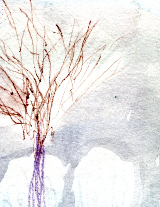 Winter Garden