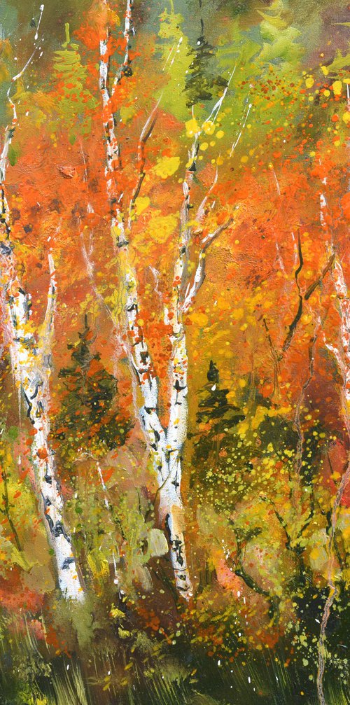 Aspen trees in autumn   76 by Pol Henry Ledent