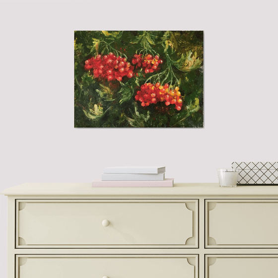 Red Viburnum