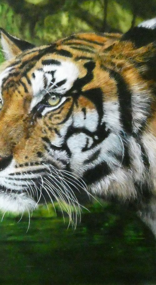 Tiger by Maria Arias