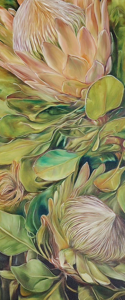 Protea by Olga Van Dine