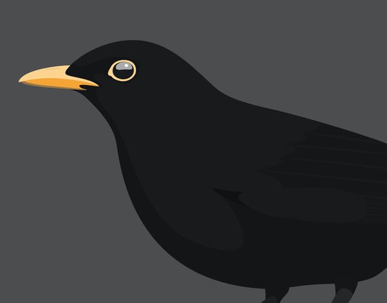 Solitary Blackbird