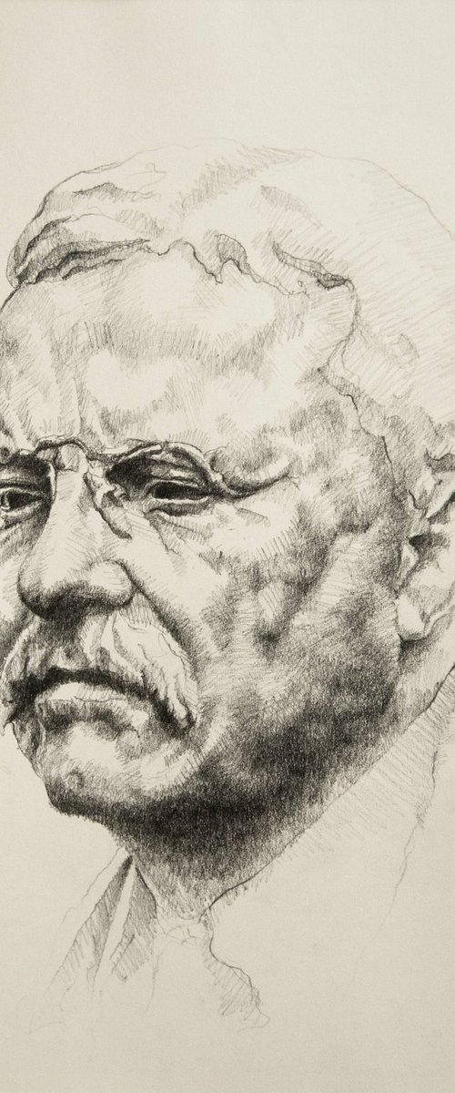 Portrait of Theodore Roosevelt by Onur Karaalioğlu