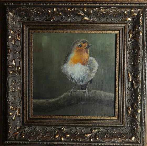 Lockdown's Morning Chorus Series - Robin, Bird Artwork, Animal Art Framed