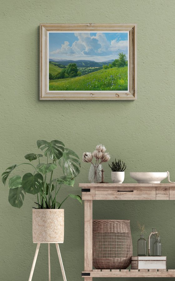 Meadows of early summer