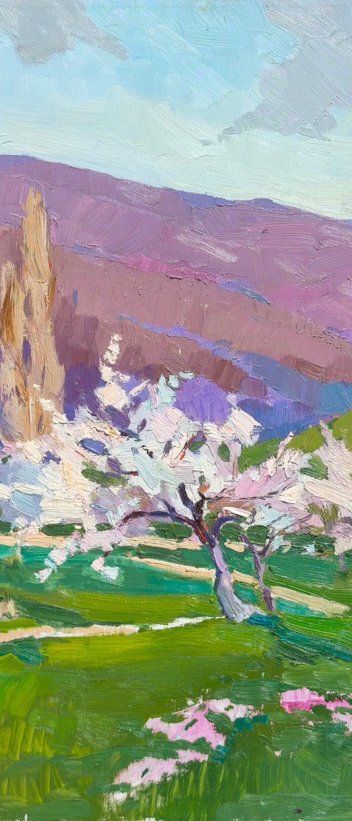 Rodnoe Village (Crimea) by Alexander Shandor