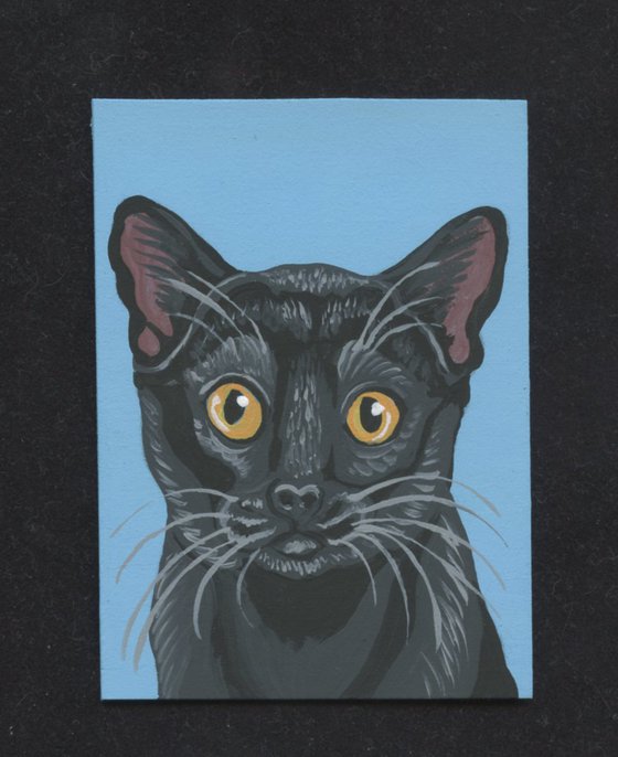 ACEO ATC Original Miniature Painting Black Kitten Pet Cat Art-Carla Smale