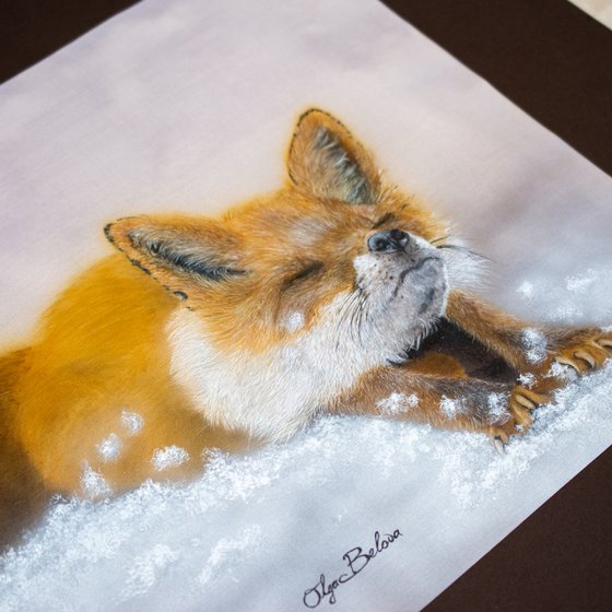 Sleepy fox