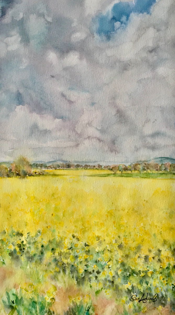 Rapeseed fields at Peacemarsh, North Dorset by Samantha Adams professional watercolorist
