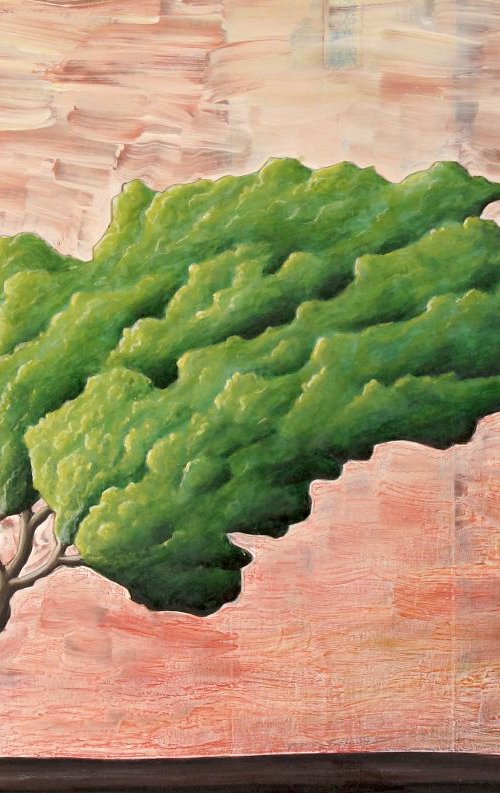 ALBERO f3 [RESERVED] by Giuliano Monechi