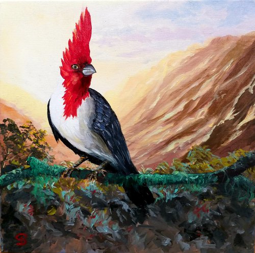 Red crested cardinal by George Budai