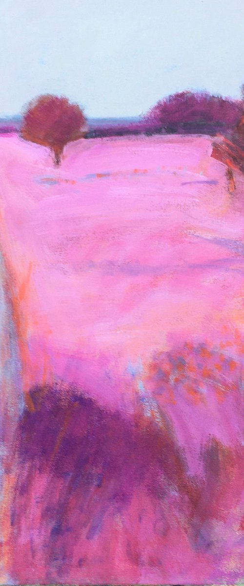 Pink Meadow by Chrissie Havers