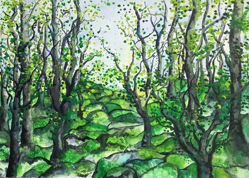 Dartmoor Woods by Lucy Smerdon