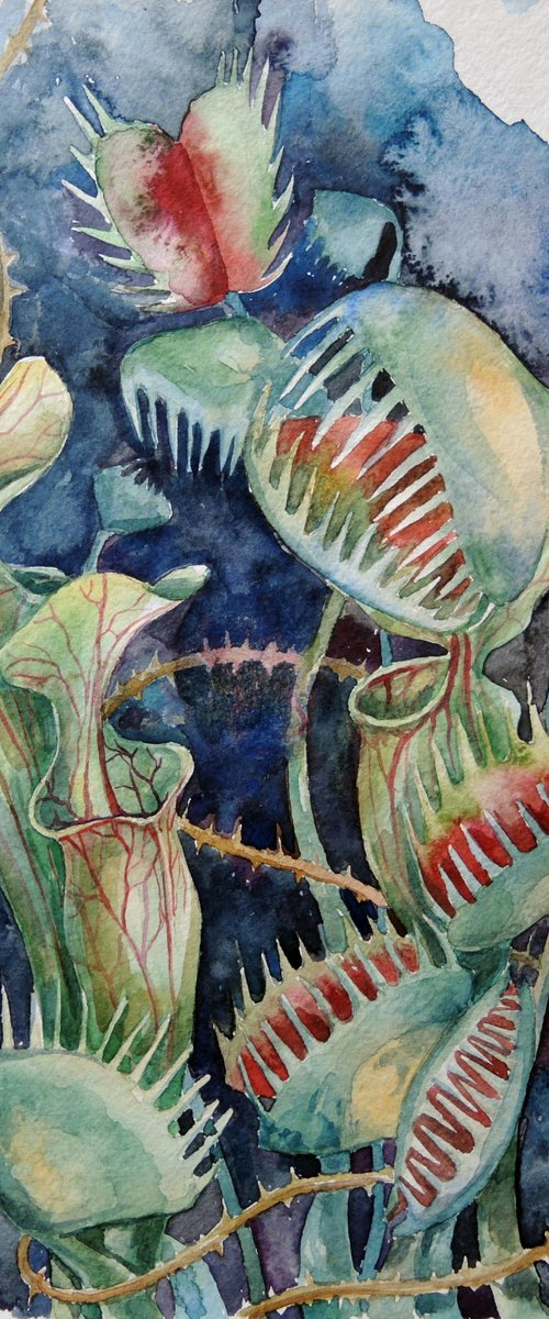 Watercolor sketch with predatory plants . by Albina Bunina
