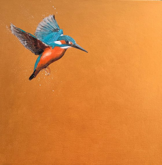 Flight Of The Kingfisher