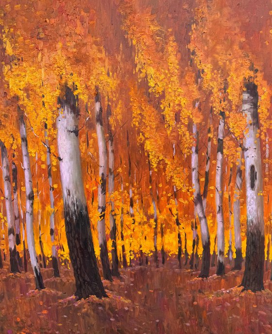 Autumn Birch Forest