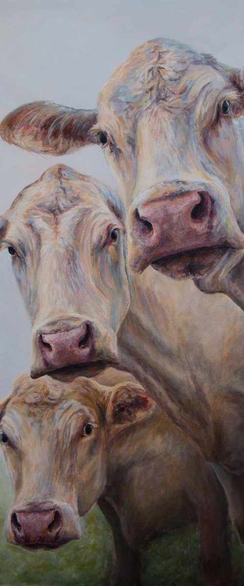 A Trio of Cows by Ruth  Aslett